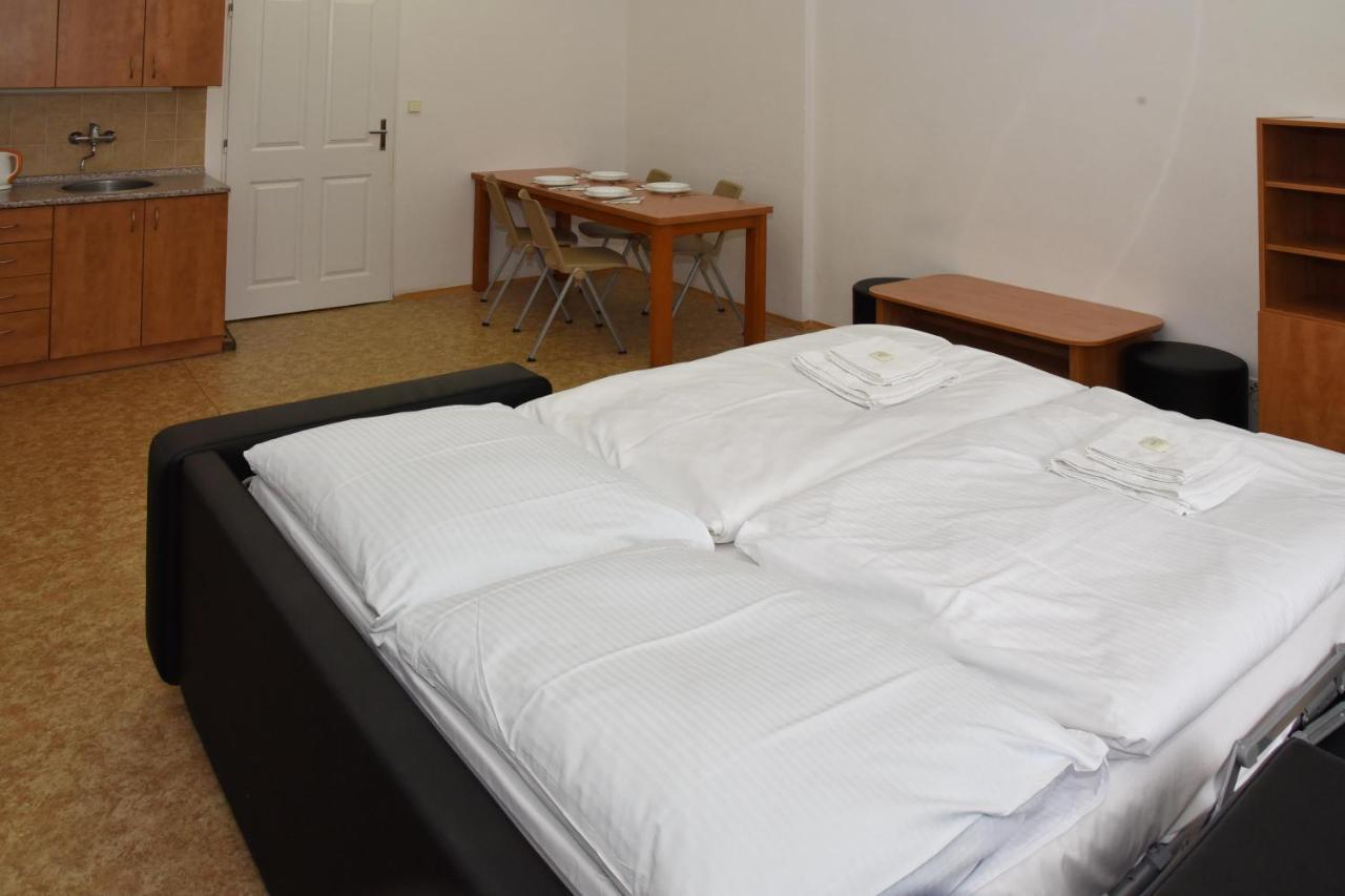 Zamek Racice Hotel Buitenkant foto