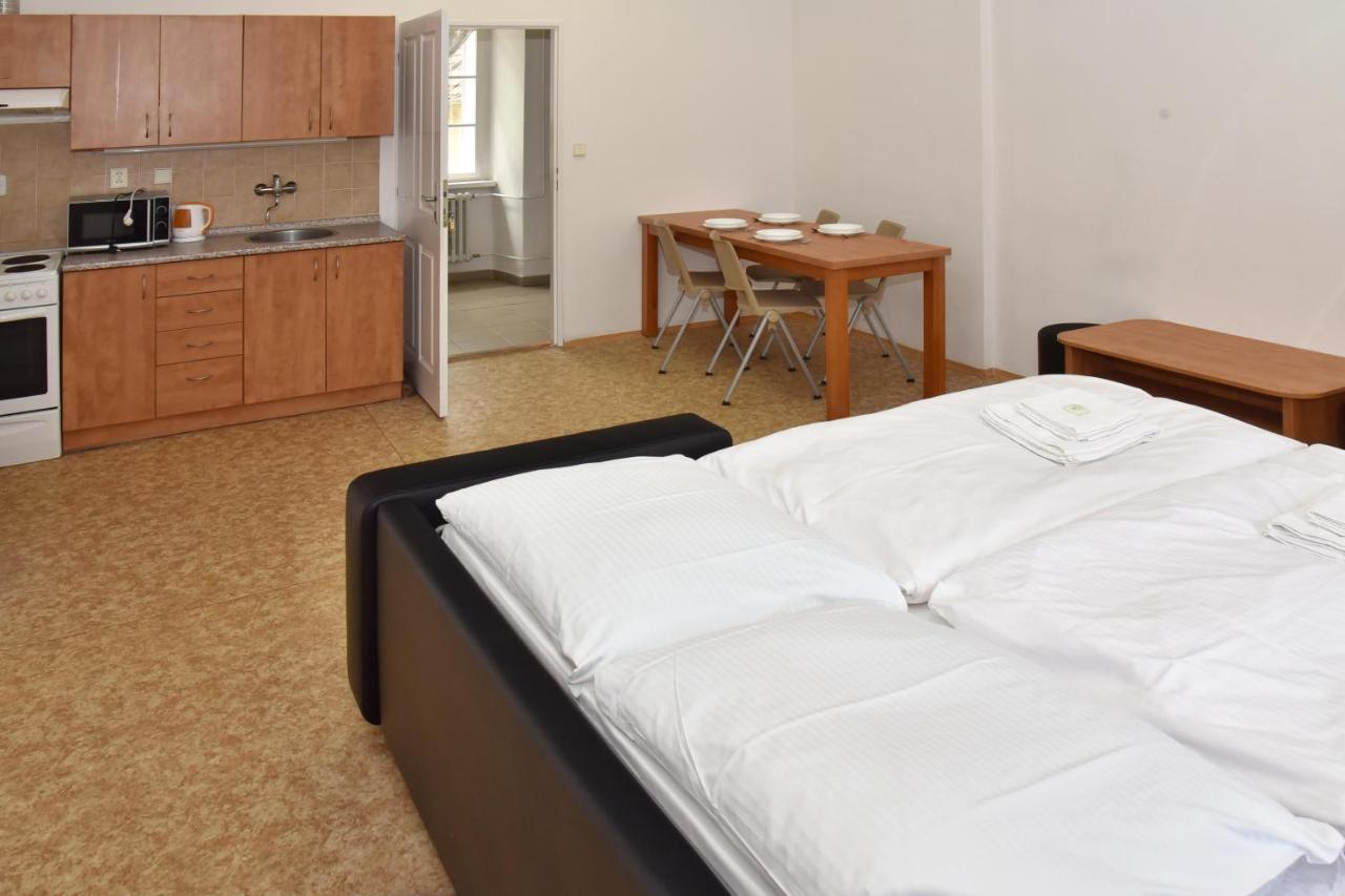 Zamek Racice Hotel Buitenkant foto
