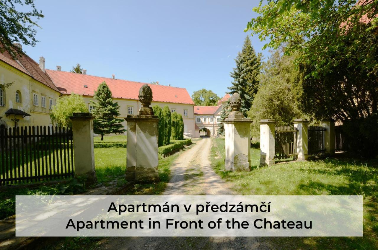 Zamek Racice Hotel Buitenkant foto
