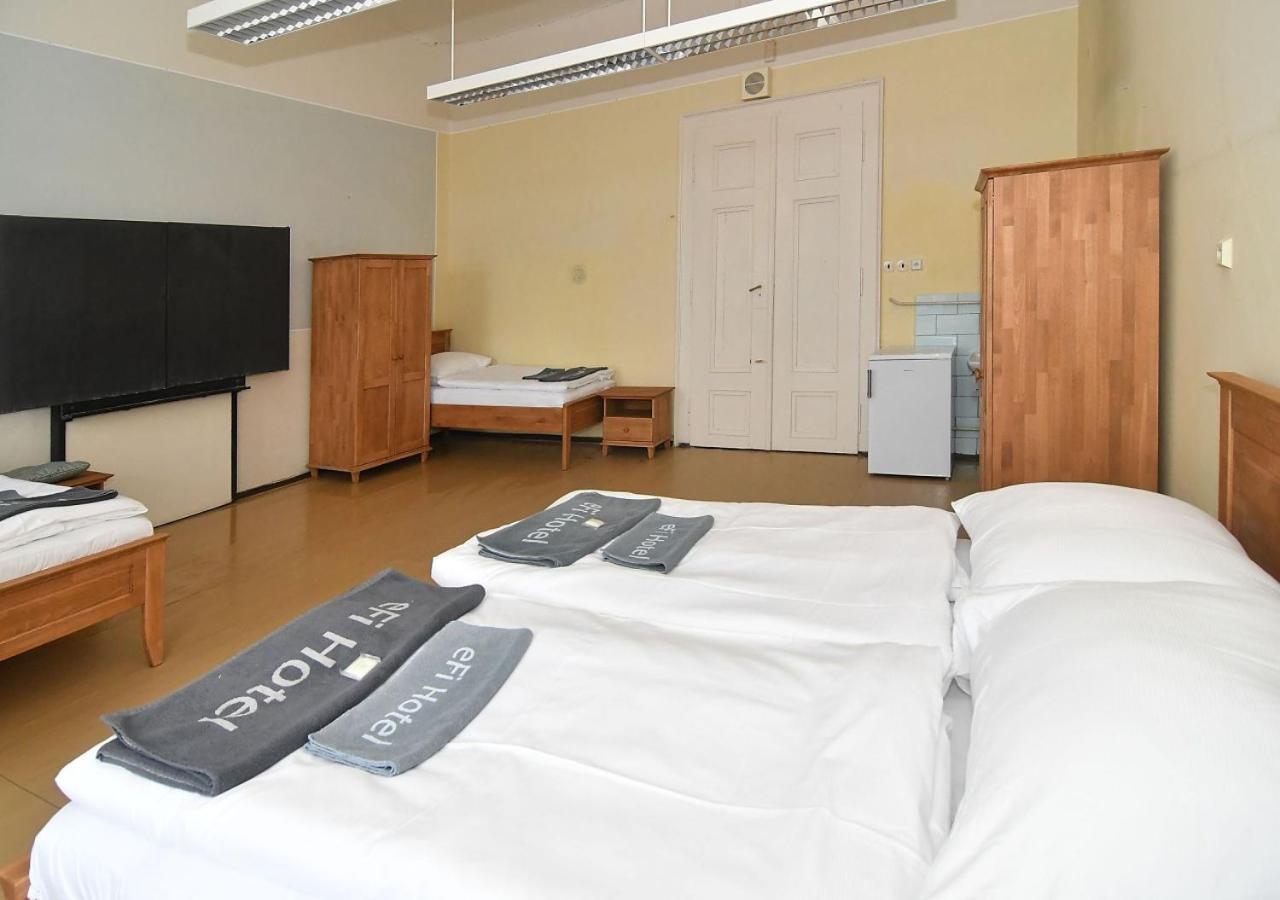 Zamek Racice Hotel Buitenkant foto