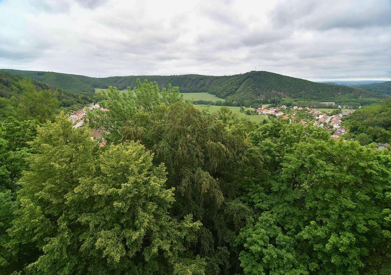 Zamek Racice Hotel Buitenkant foto