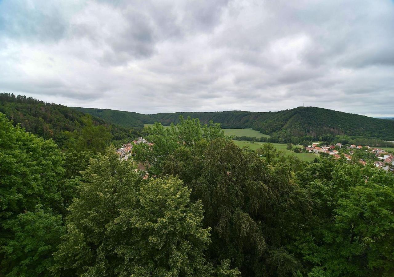 Zamek Racice Hotel Buitenkant foto